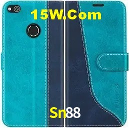 Experiência VIP Sn88