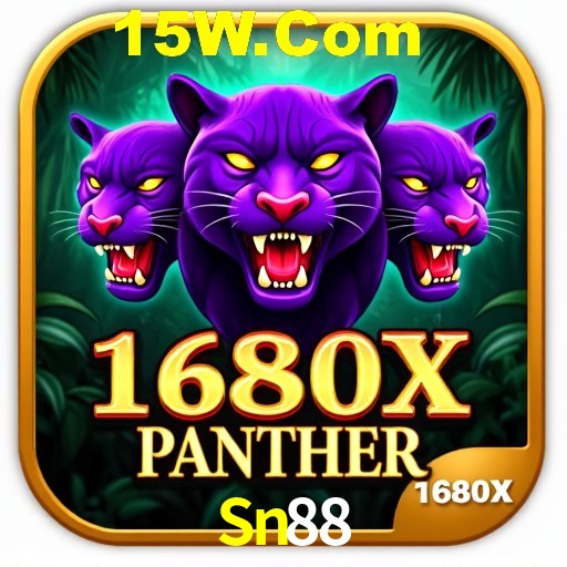 Interface Premium Sn88