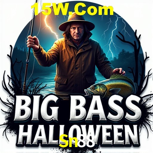 Flash Promotion Sn88