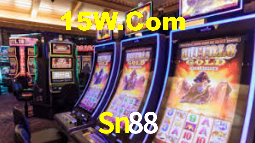 Sn88